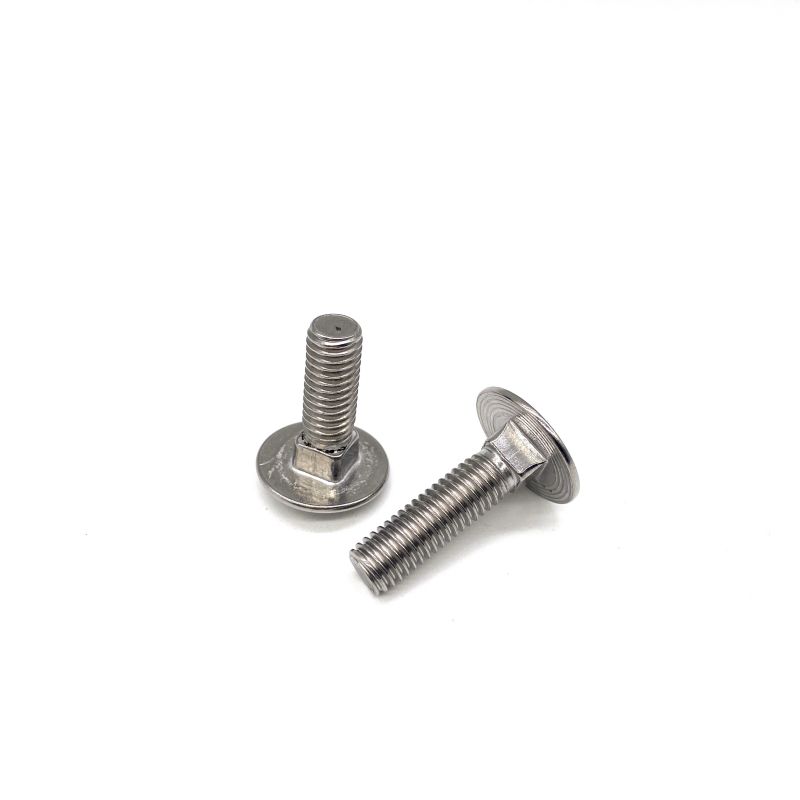 Square Neck DIN603 M10 M12 Carriage Bolt ရှိသော Stainless Steel Bolt